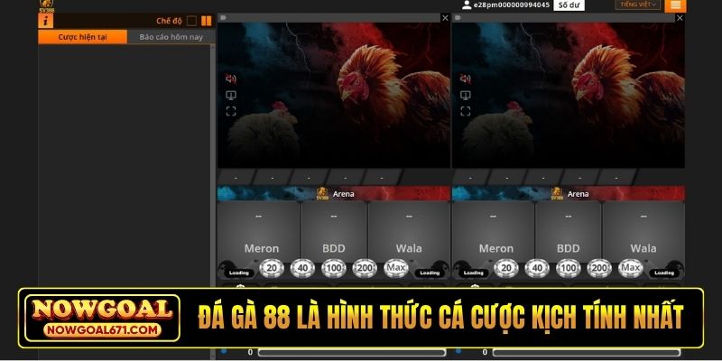 Đá gà 88 là hình thức cá cược kịch tính nhất