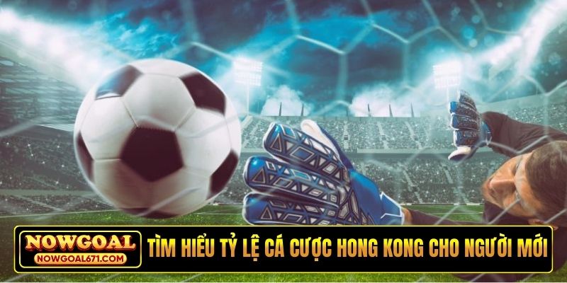 Tìm hiểu tỷ lệ cá cược Hong Kong cho người mới